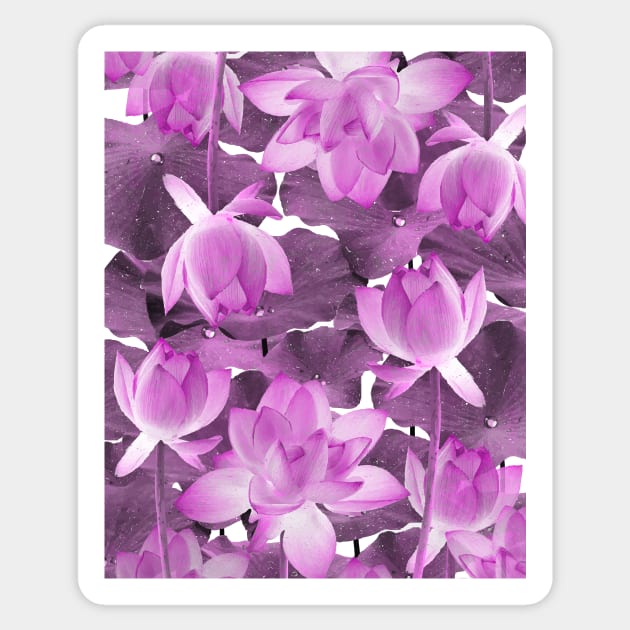 Ethereal Pink Lotus Sticker by StudioGrafiikka